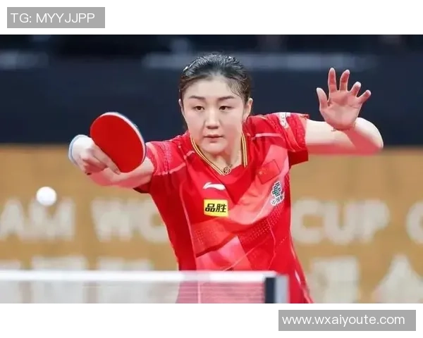 专访刘敏：深入探讨排球运动背后的成功秘诀与心路历程